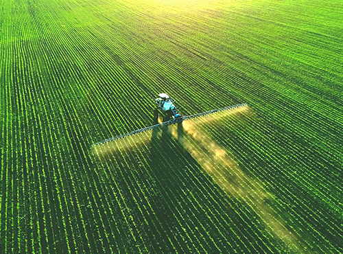 AGRICULTURE
